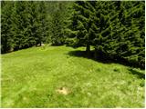 Spodnje Danje - Altemaver (Ratitovec)